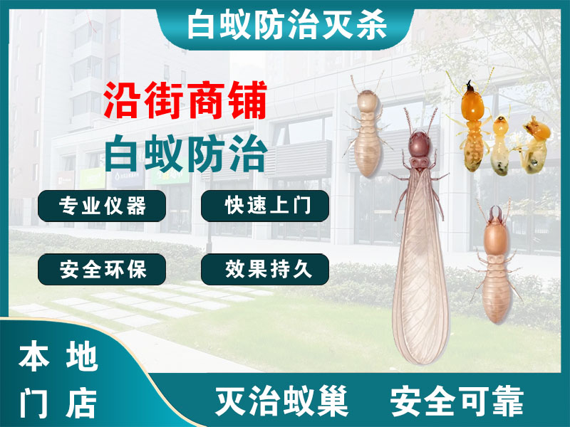 镇江市沿街商铺白蚁防治