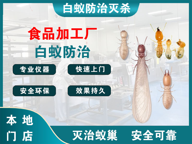 镇江市食品加工厂白蚁防治