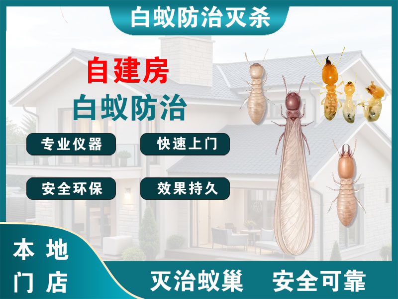 镇江市自建房白蚁防治