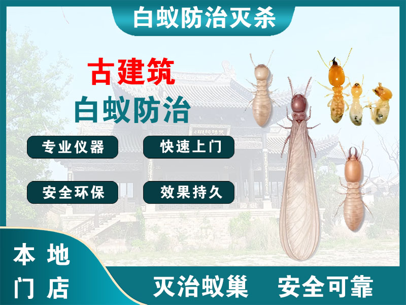 镇江市古建筑白蚁防治