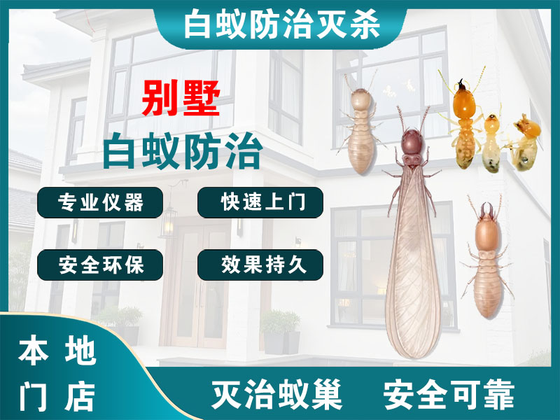 镇江市别墅白蚁防治