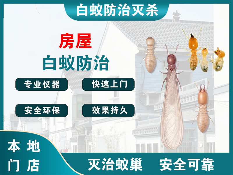 镇江市房屋白蚁防治